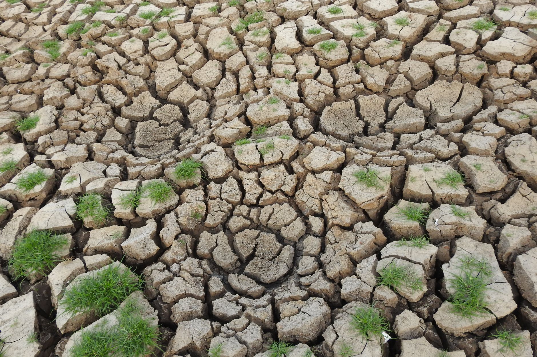 Britain on the Brink: Experts Warn of Looming Food Crisis