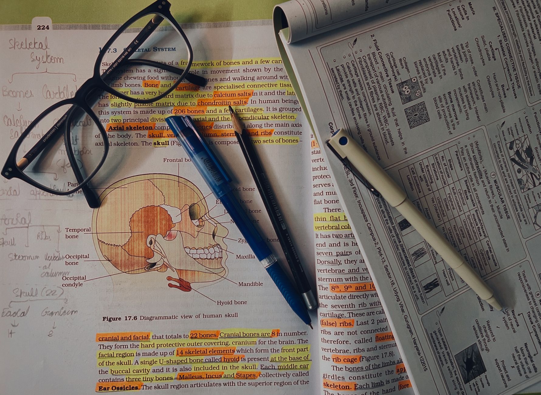 NCERT Overhauls Class 8 Textbook, Tackles Judiciary Missteps