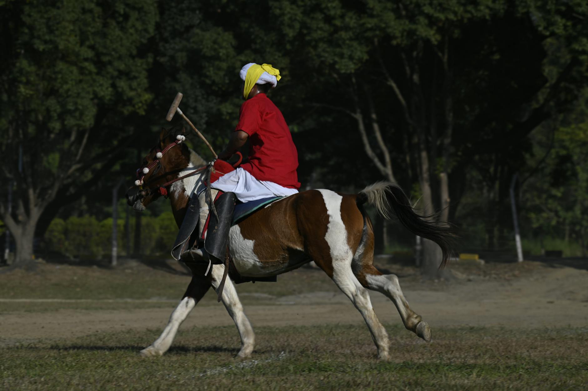 Controversy Erupts Over Manipur Sports University Appointment