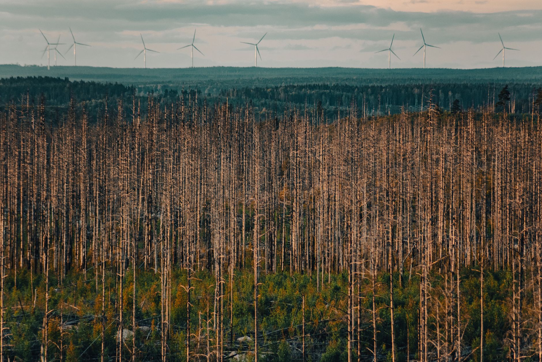 Environmental Report Reveals Progress and Challenges Ahead
