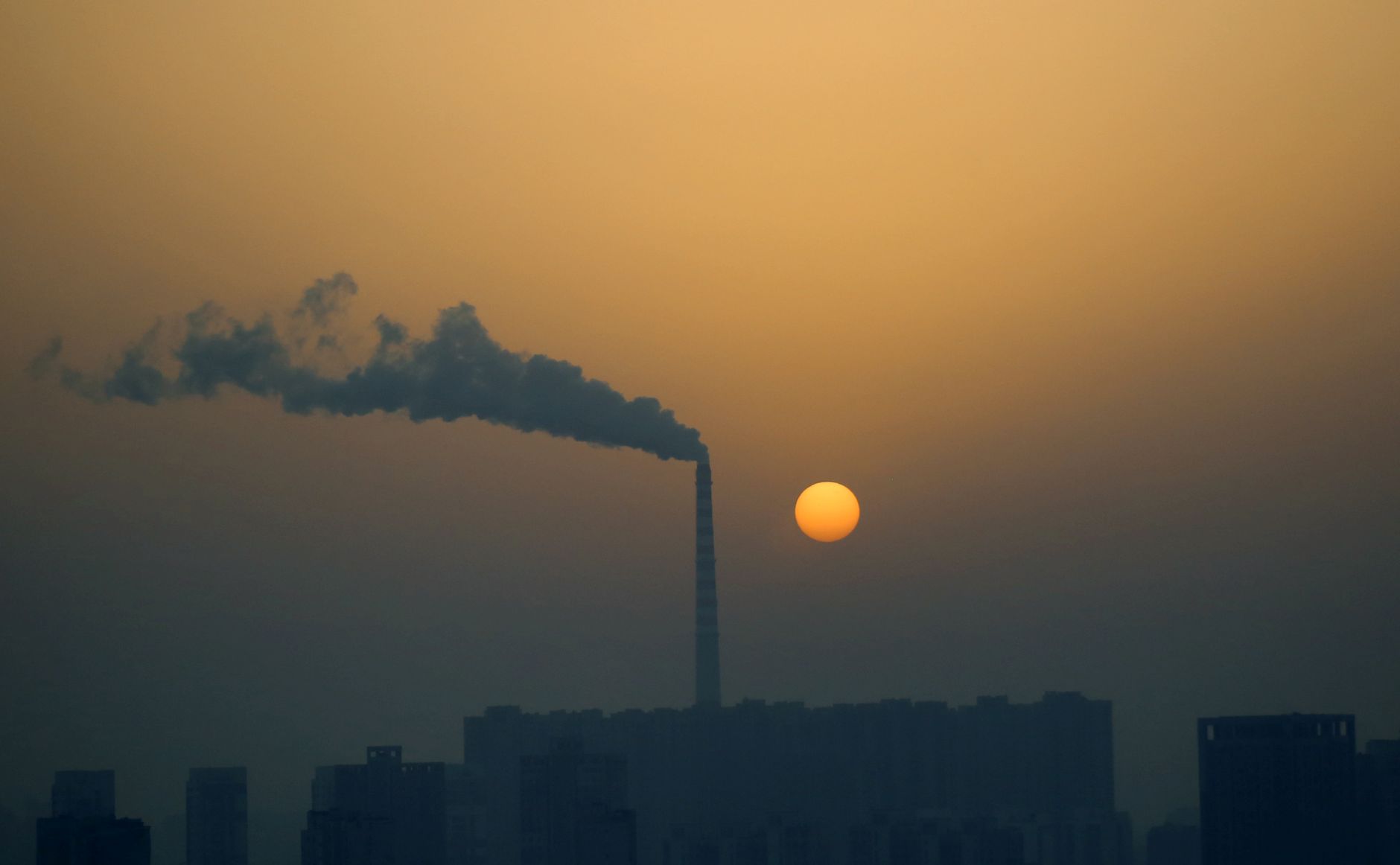 Trade and Climate: A New Era of Collaboration Unveiled