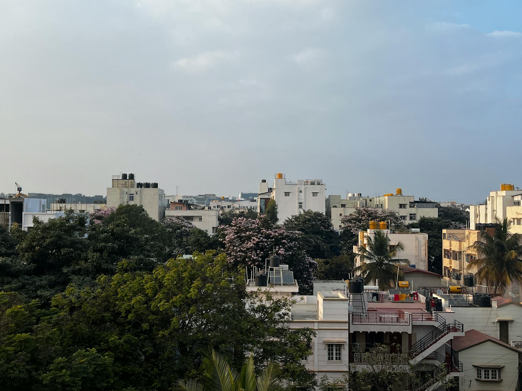 Sankey Tank's Struggle: A Wake-Up Call for Urban Planning