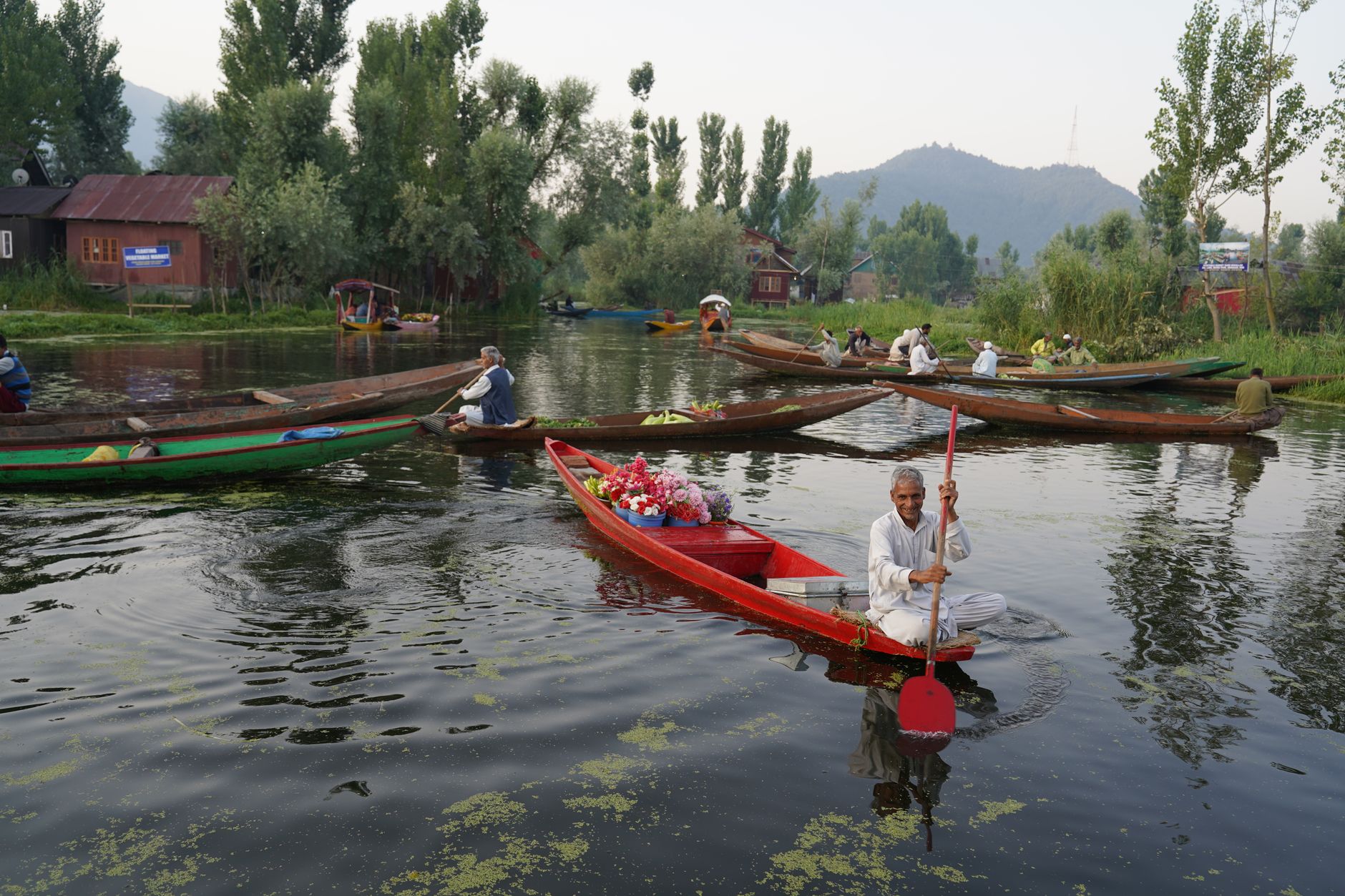 Srinagar's Green Revival: A Beacon of Hope for Environmentalists