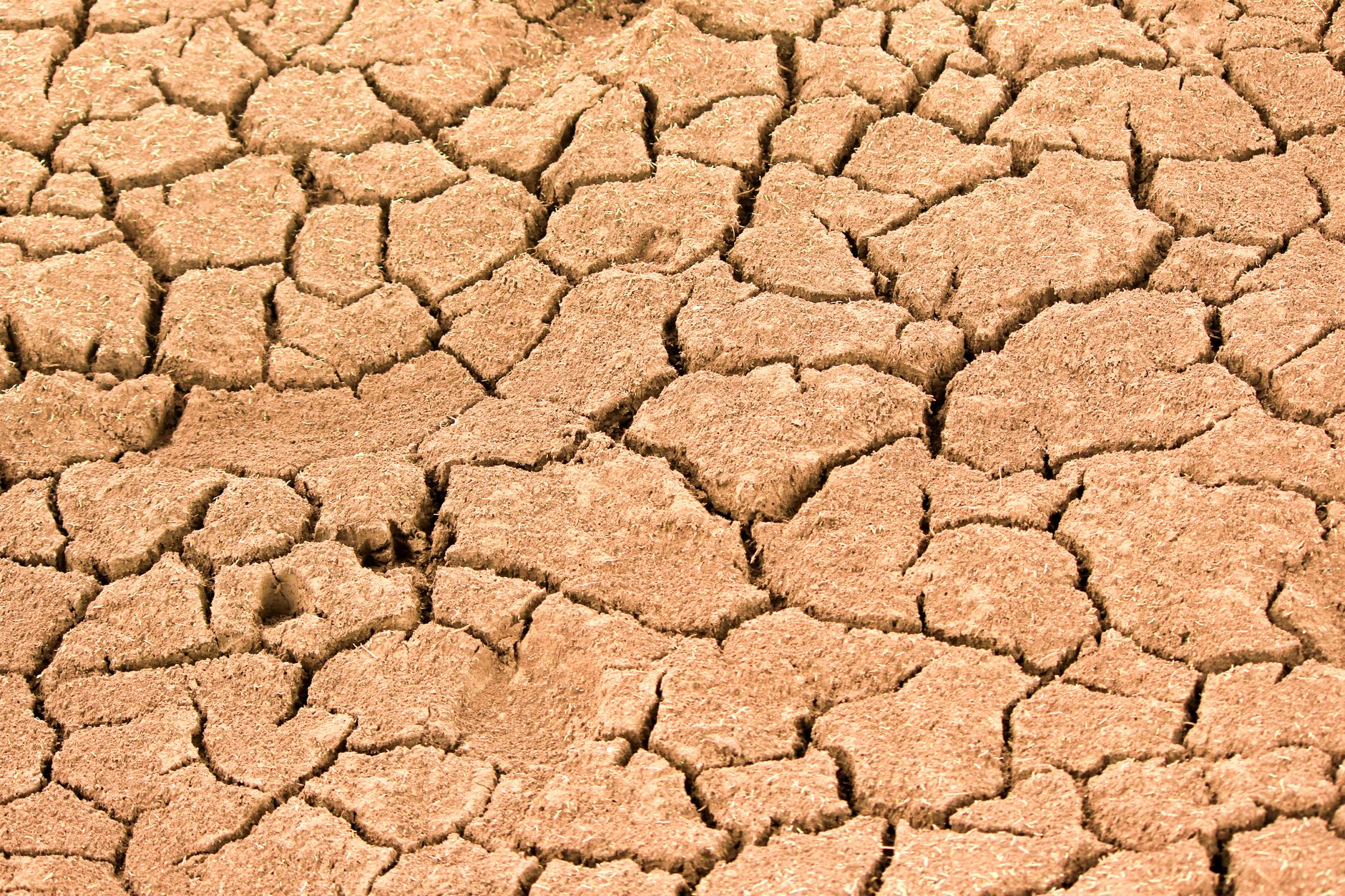 Pope Leo's Call: Environmental Crisis Mirrors Socio-Economic Woes