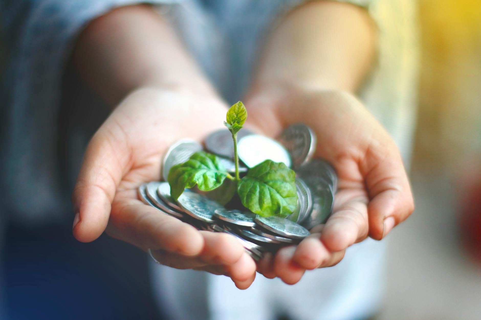 Guernsey Invests in Green Future with £500,000 Boost