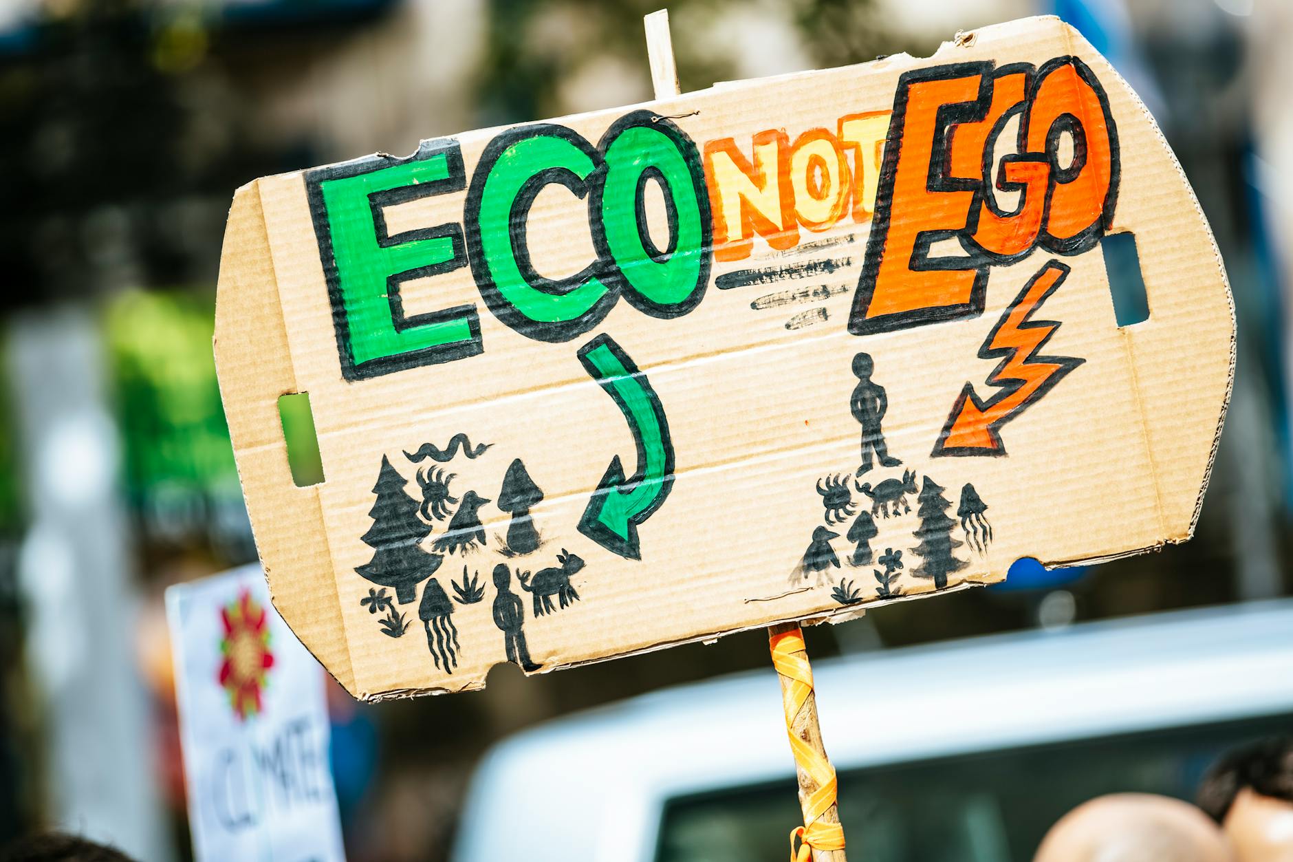 Supreme Court Questions Environmental Activists' Stance on Development Projects