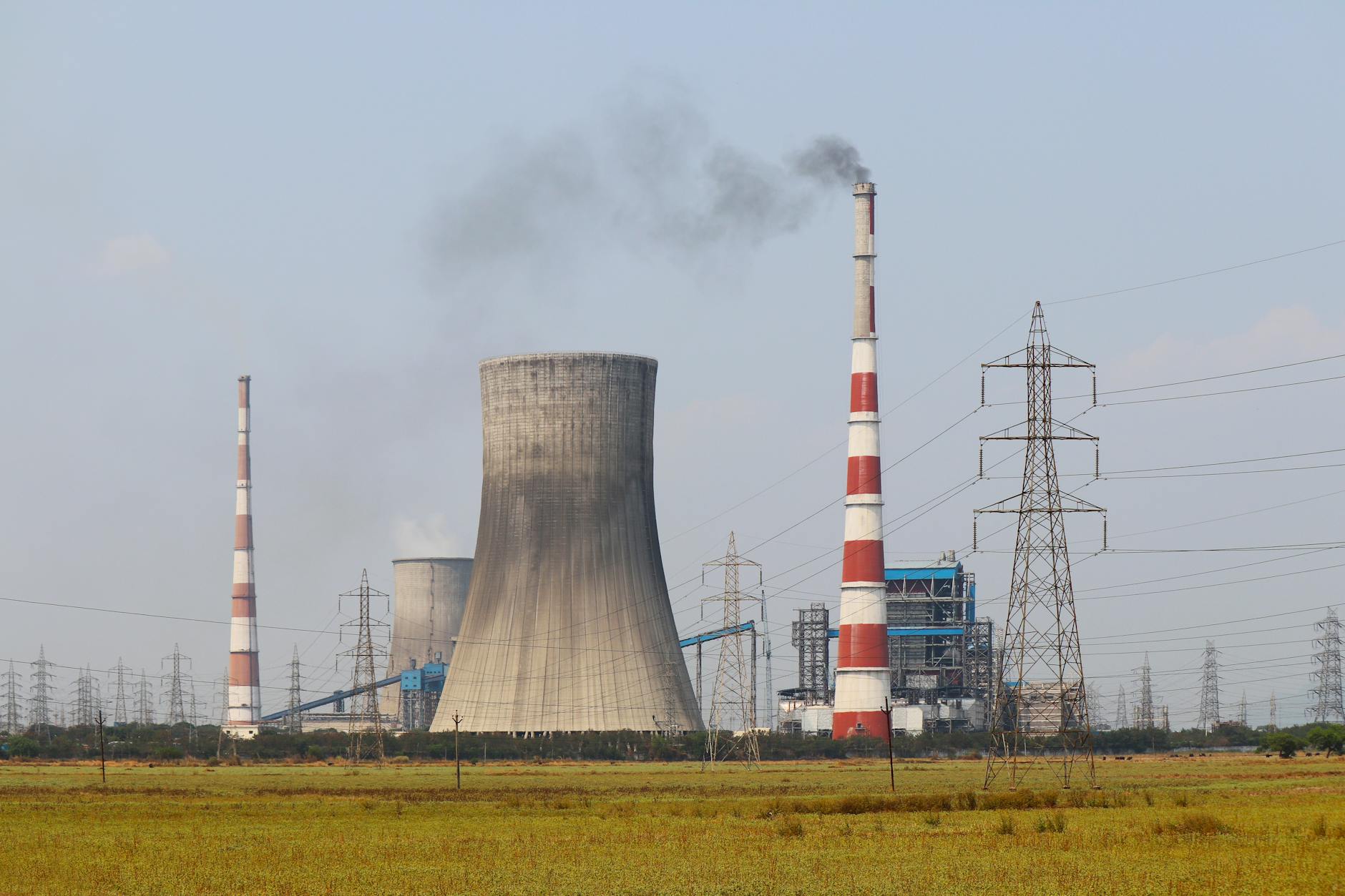 Environmentalists Demand Apology from CJI Over Controversial Remarks