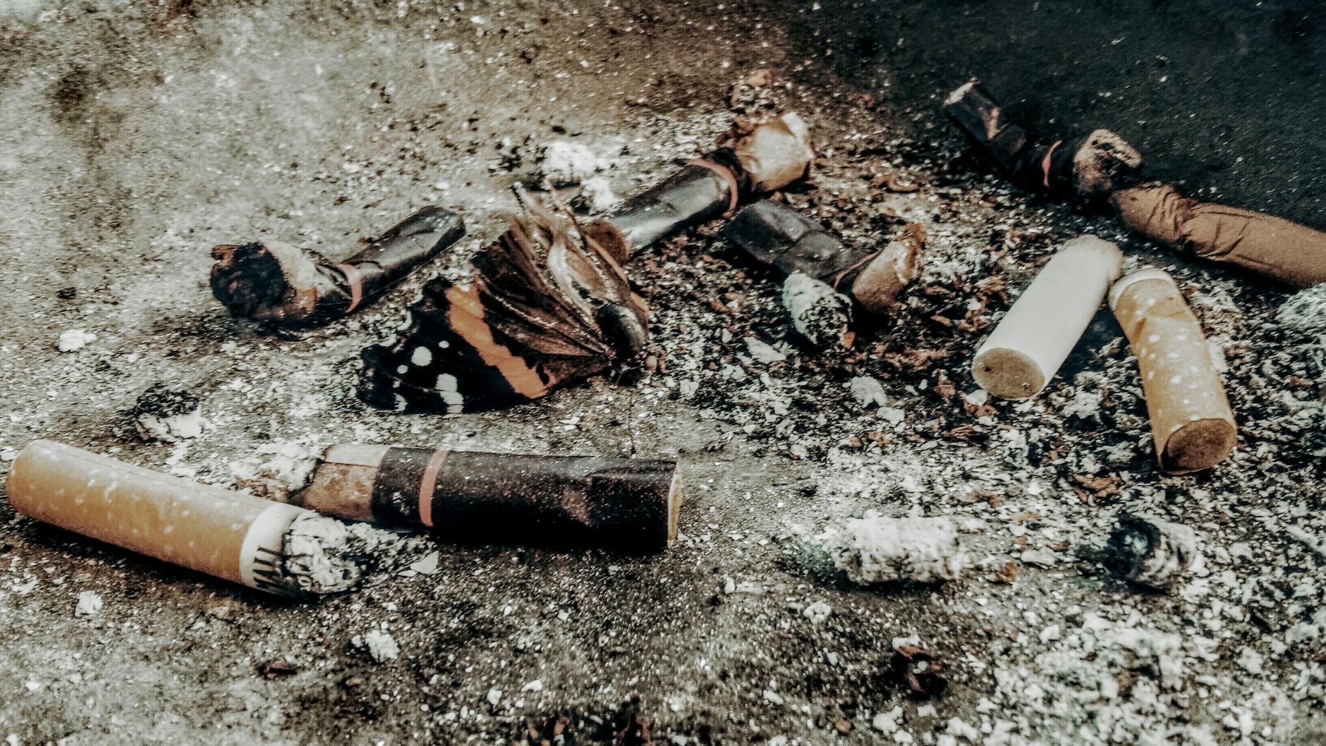 Tobacco Violations Dominate India's Environmental Crimes