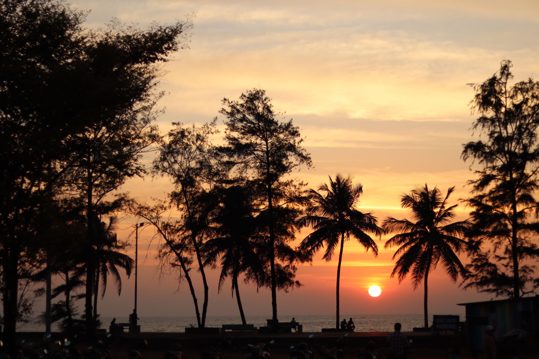 Tech Professionals Eye Mangaluru's Silicon Beach for a Fresh Start