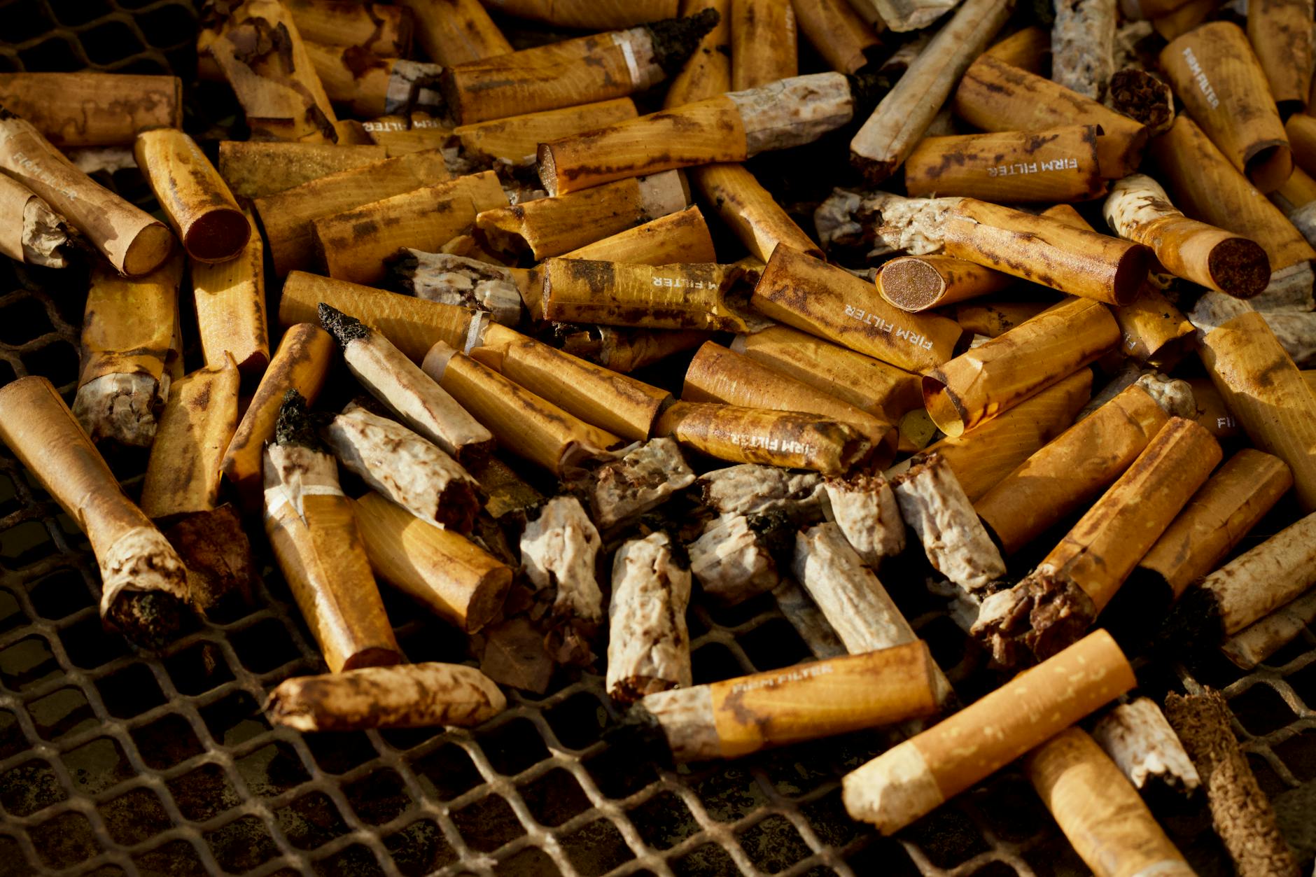 India Sees 16% Drop in Environmental Crimes, Tobacco Violations Dominate