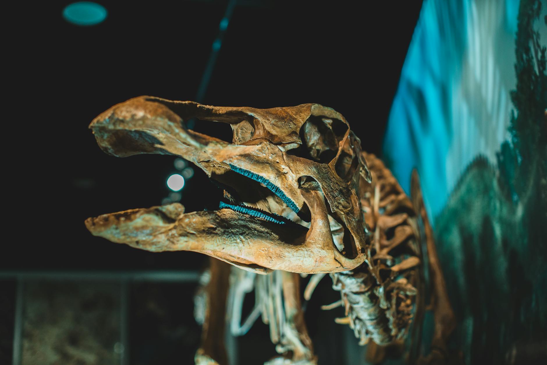 Unexpected Treasures: Major Discoveries in Museum Backrooms