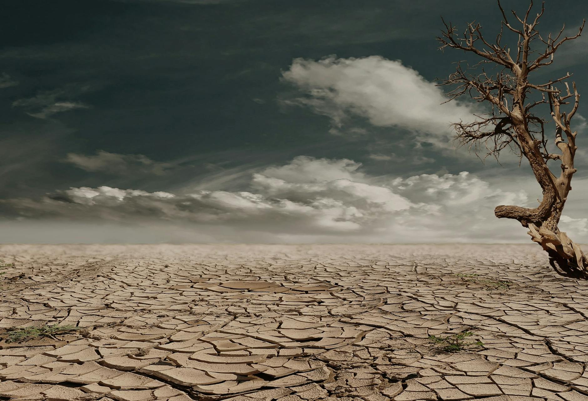 Scientists Warn of Scorching Conditions for World Cup 2026