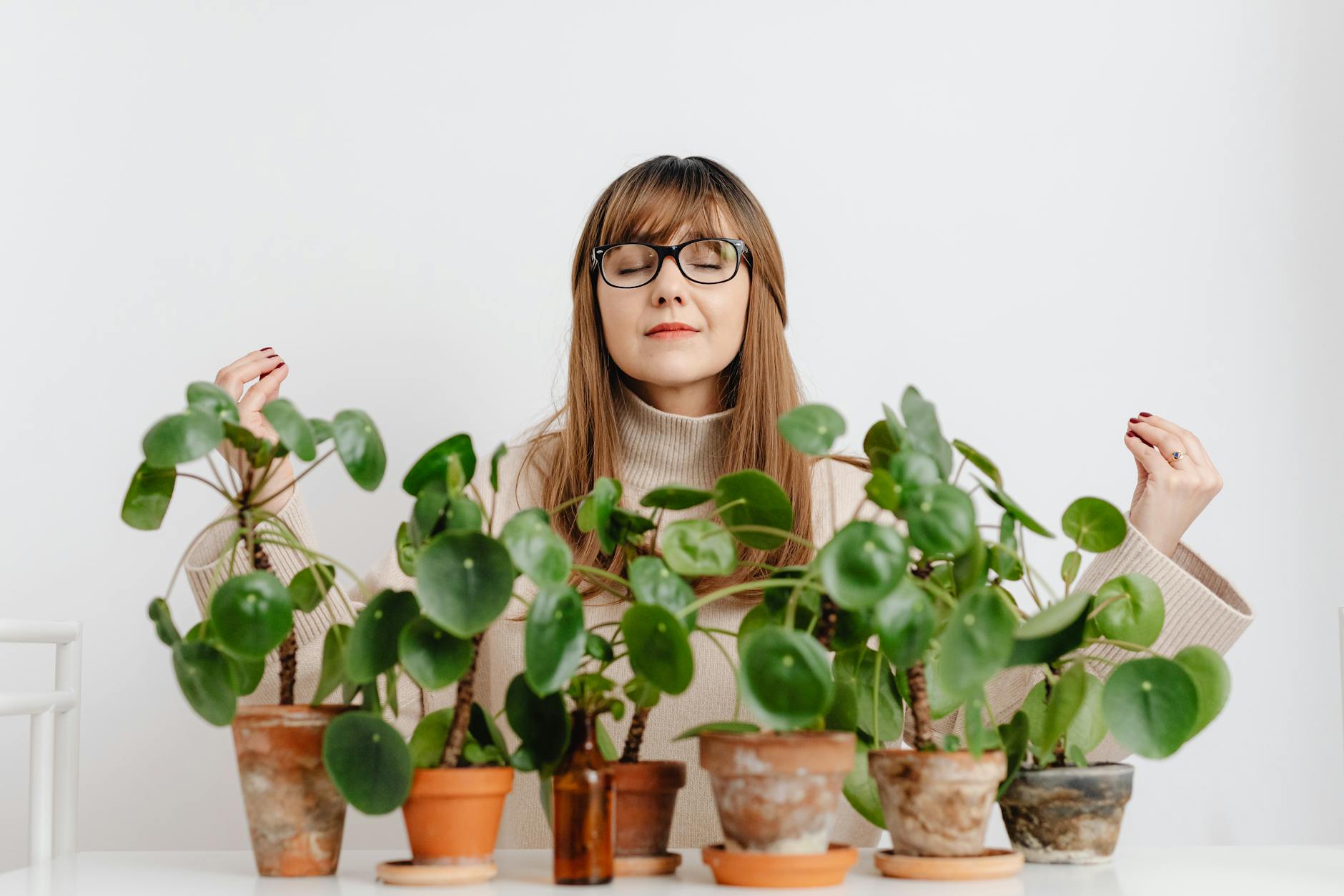 The Truth About Houseplants: More Than Just Air Purifiers