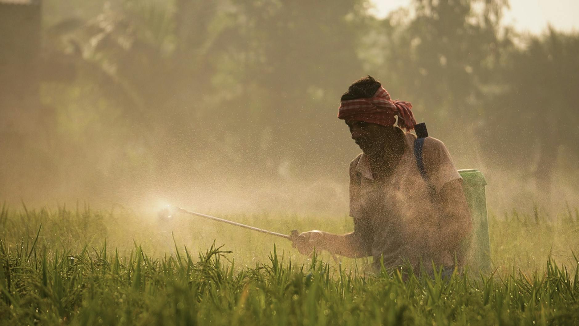 FMC Corp Offloads India Crop Business to Crystal for $252 Million