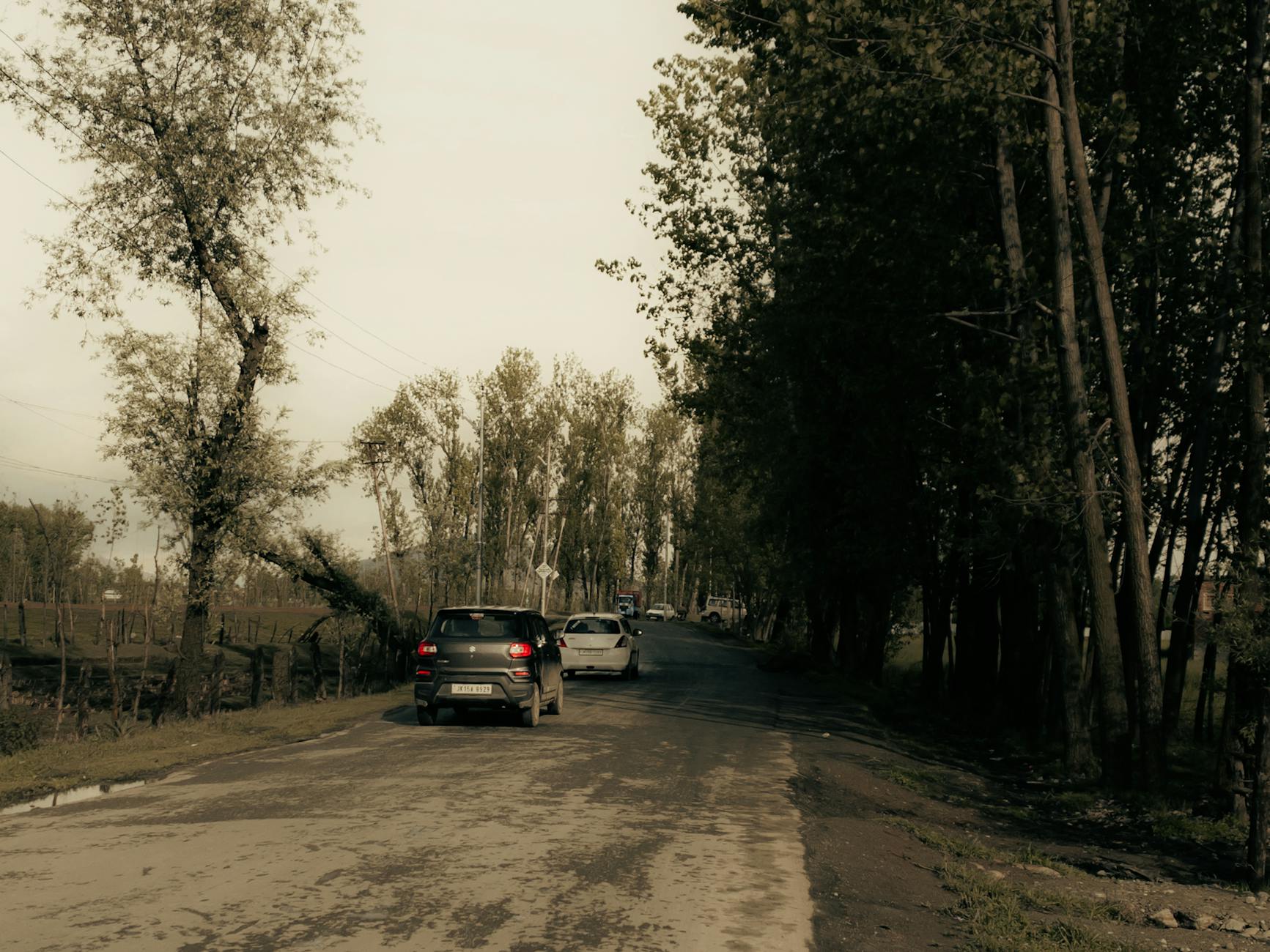 Kashmir Youth Run for Environment and Drug-Free Future