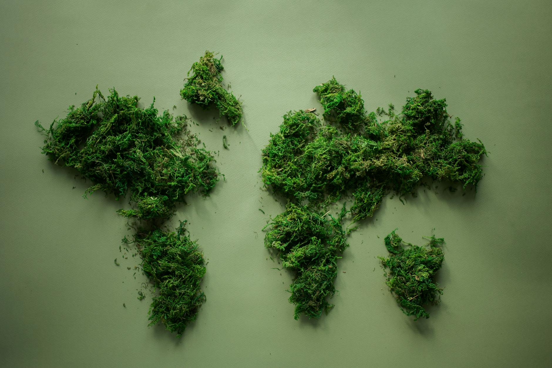 Nature's Call: World Environment Day 2026 Unveiled