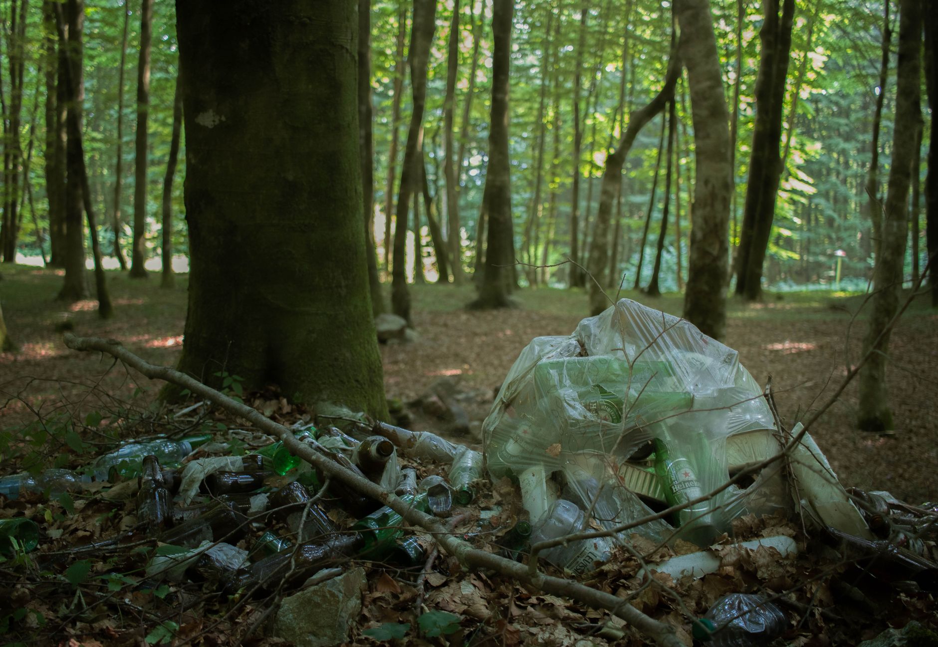 Top 10% of Consumers Wreak Havoc on Environment, Study Reveals