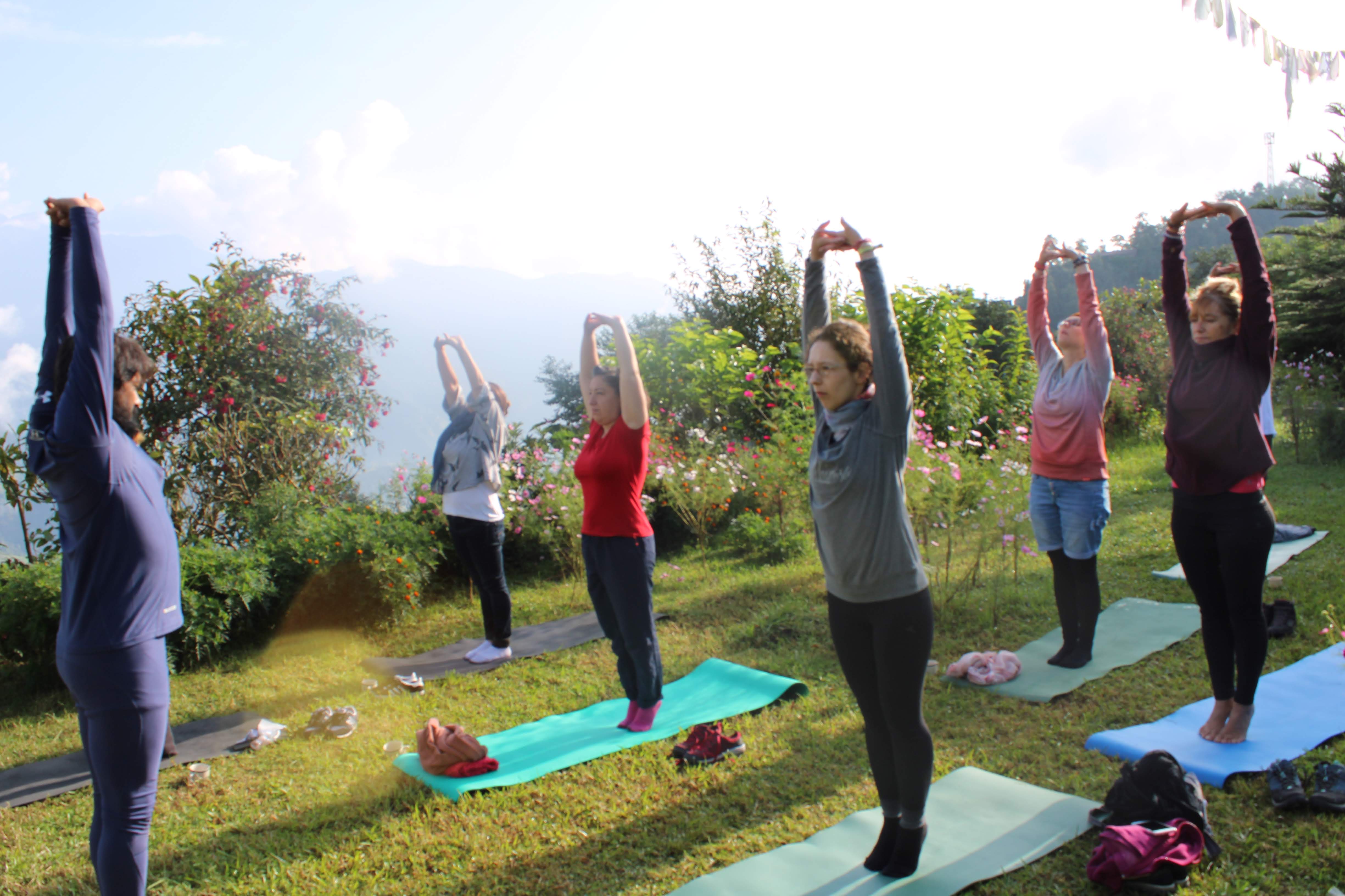 Ahmedabad Hosts Inaugural World Yogasana Championship, Eyes Olympic Dream
